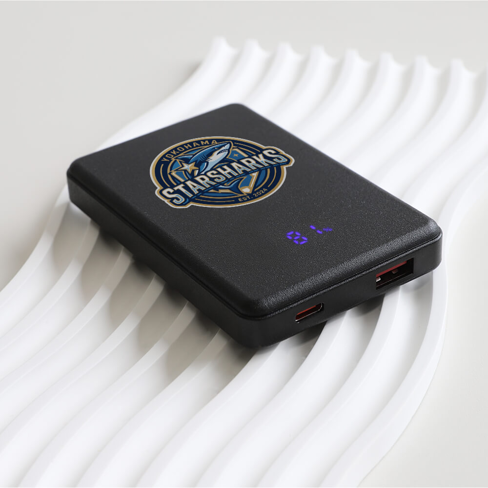 モバイルバッテリー　OWL-LPB5024