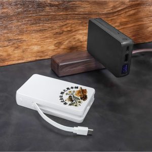 ACモバイルバッテリー　OWL-LPBAC5003